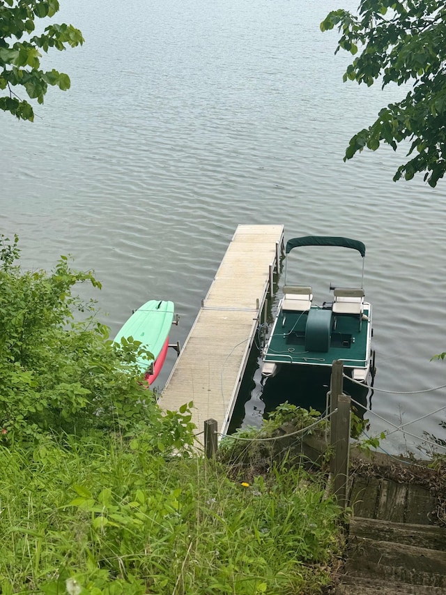 24531 Cedar Point Rd, Cedar Lake Twp, MN 56071 - photo 3