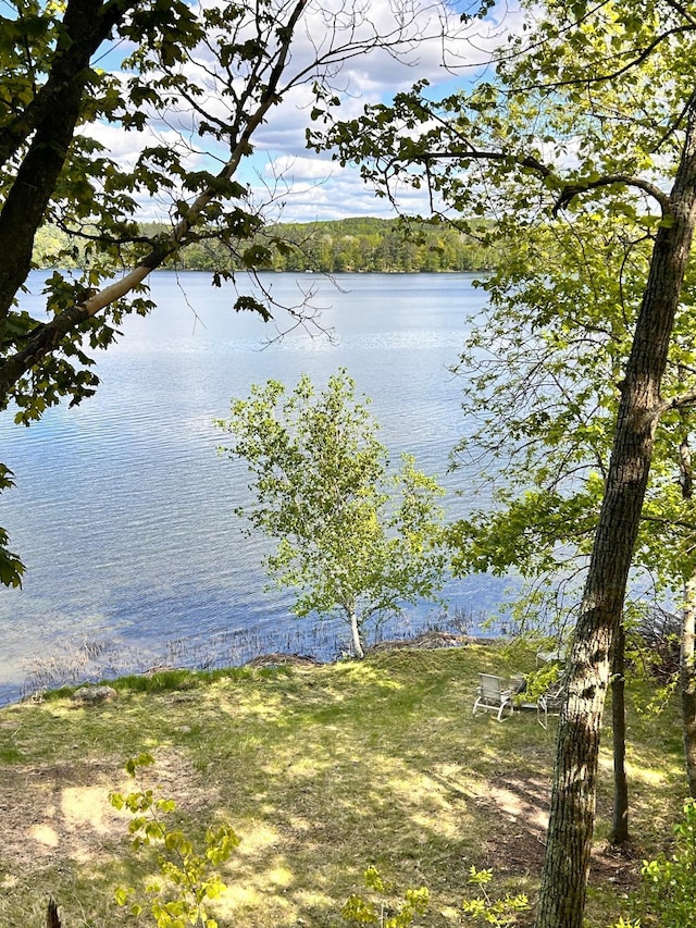 2145 Big Deep Lake Dr NW, Hackensack, MN 56452 - water view