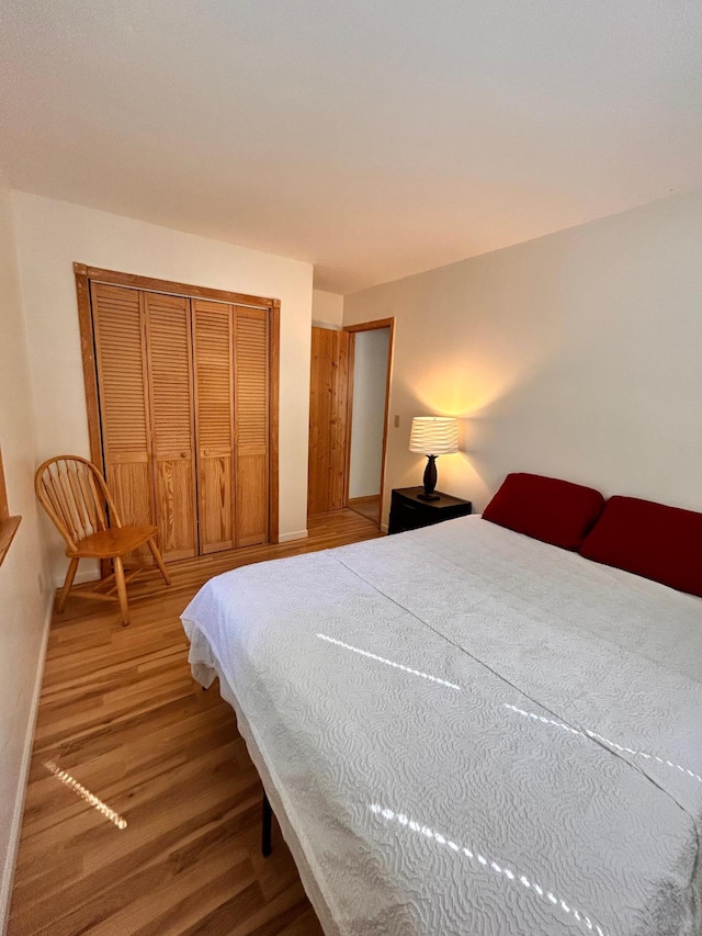 2145 Big Deep Lake Dr NW, Hackensack, MN 56452 - bedroom featuring wood finished floors and a closet