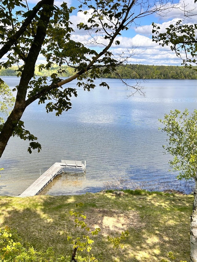 2145 Big Deep Lake Dr NW, Hackensack, MN 56452 - dock area with a water view