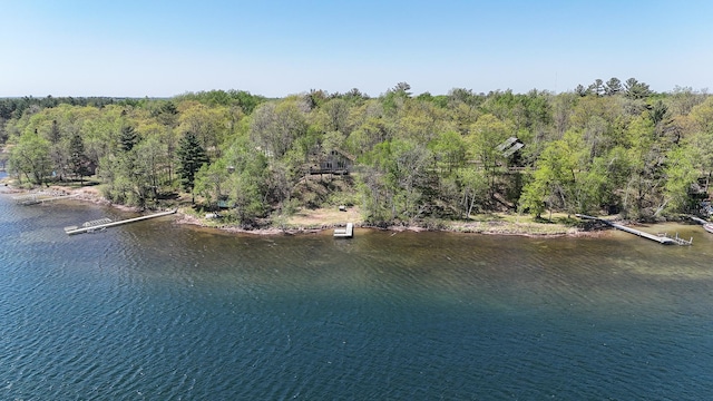 2145 Big Deep Lake Dr NW, Hackensack, MN 56452 - water view