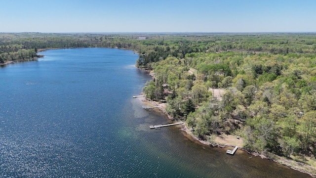 2145 Big Deep Lake Dr NW, Hackensack, MN 56452 - aerial view of a forest and a large body of water