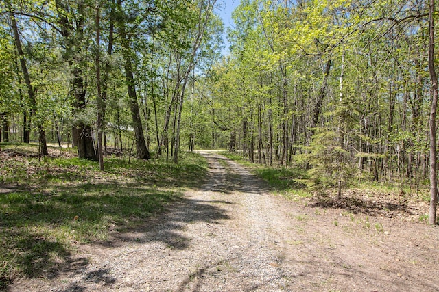 2145 Big Deep Lake Dr NW, Hackensack, MN 56452 - view of dirt / gravel road with a forest view