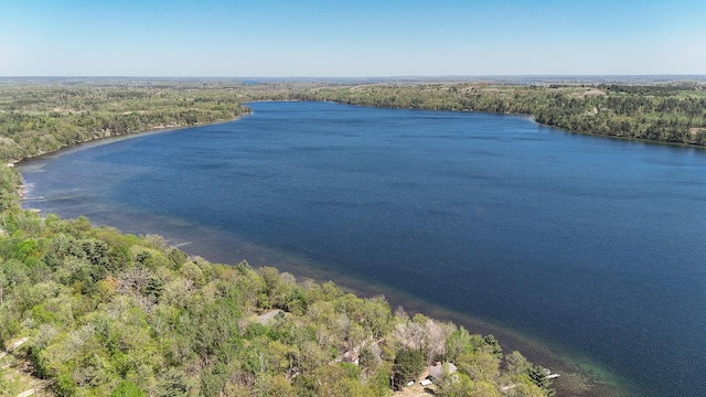 2145 Big Deep Lake Dr NW, Hackensack, MN 56452 - water view with a heavily wooded area