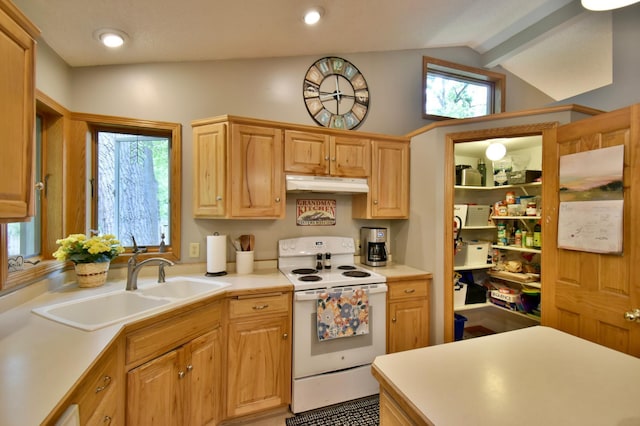 1518 4th Ave N, Sartell, MN 56377 - kitchen with electric range, under cabinet range hood, lofted ceiling, a sink, and light countertops