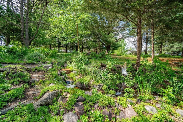 903 Ingalls Rd, Menomonie, WI 54751 - view of yard