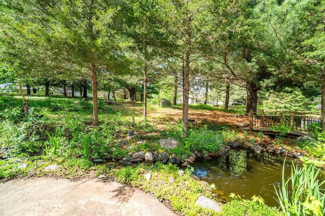 903 Ingalls Rd, Menomonie, WI 54751 - view of yard