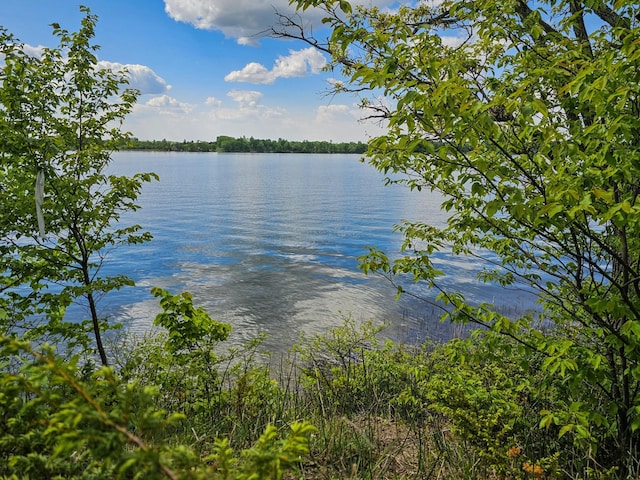 320XX 452nd St Unit A2, Vergas, MN 56587