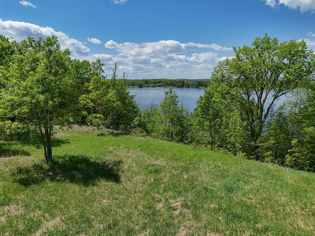 330XX 452nd St Unit A3, Vergas, MN 56587 - photo 9