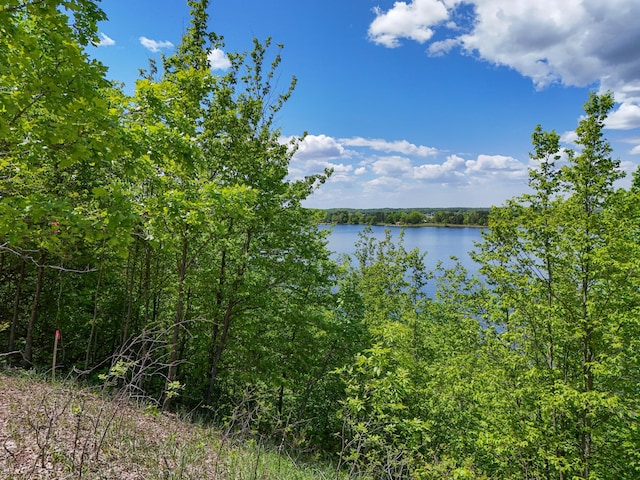 330XX 452nd St Unit A3, Vergas, MN 56587 - photo 10