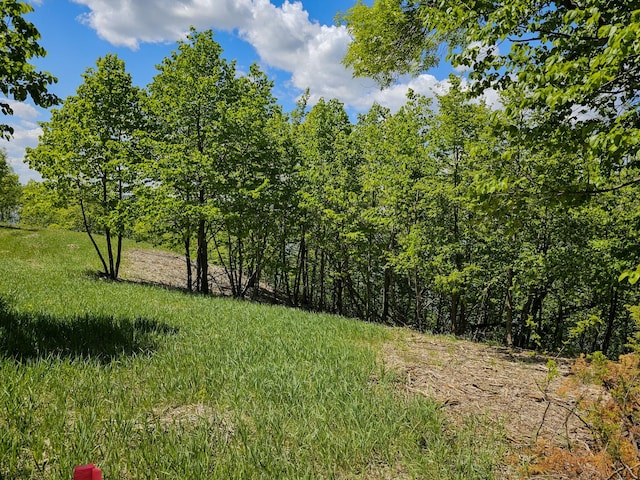 340XX 452nd St Unit A4, Vergas, MN 56587 - photo 12