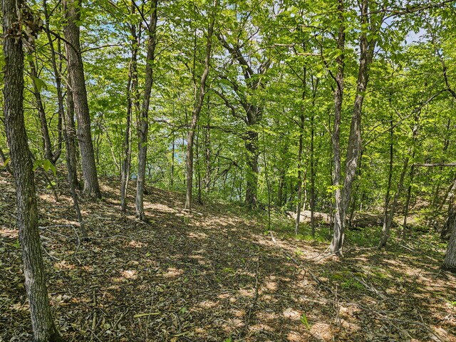 340XX 452nd St Unit A4, Vergas, MN 56587 - photo 13