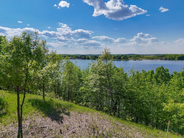 350XX 452nd St Unit A5, Vergas, MN 56587