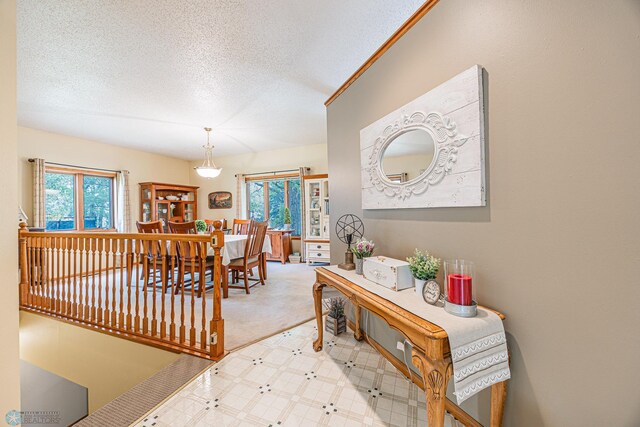 5916 Elm St N, Moorhead, MN 56560 - hallway with a textured ceiling and carpet floors
