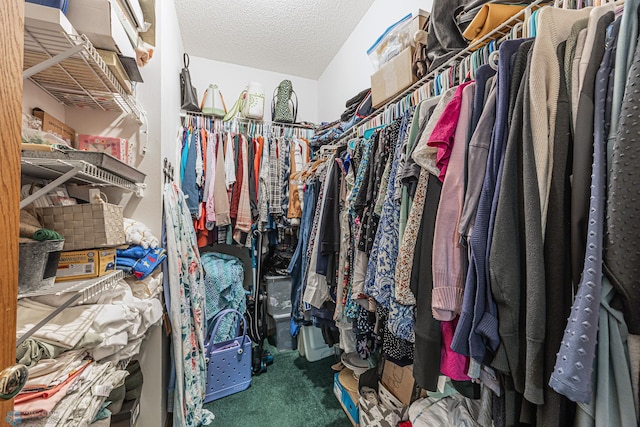 5916 Elm St N, Moorhead, MN 56560 - spacious closet featuring carpet