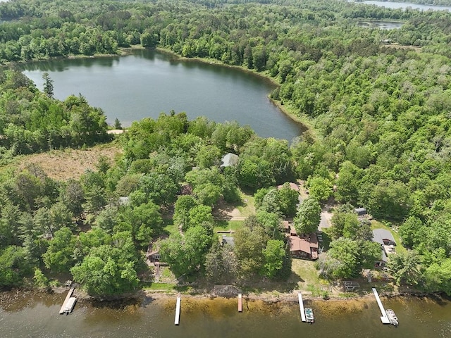 1378 Sunflower Trl NE, Outing, MN 56662 - aerial view of a forest and a nearby body of water