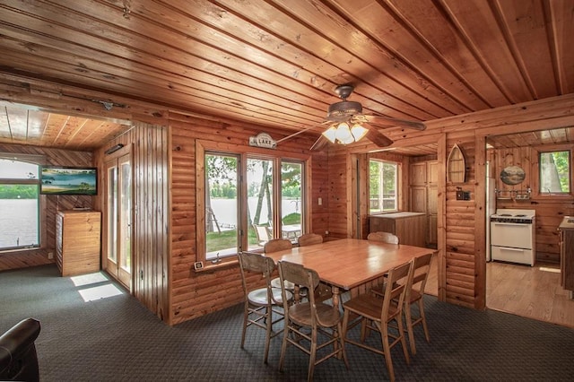 1378 Sunflower Trl NE, Outing, MN 56662 - dining area featuring wooden ceiling and ceiling fan