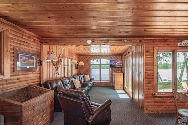 1378 Sunflower Trl NE, Outing, MN 56662 - living room featuring wood ceiling, carpet, and rustic walls