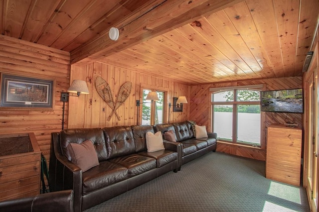 1378 Sunflower Trl NE, Outing, MN 56662 - living area with wooden ceiling with exposed beams and carpet