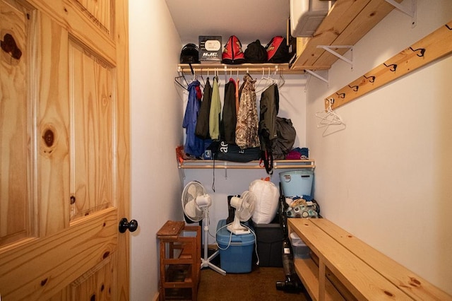 1378 Sunflower Trl NE, Outing, MN 56662 - spacious closet with carpet