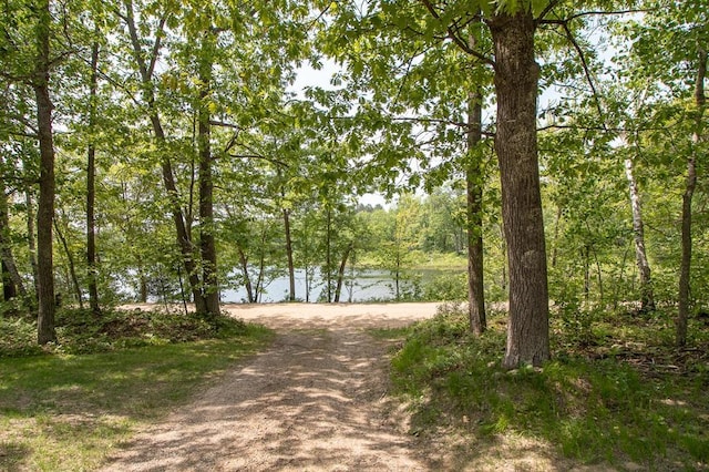 1378 Sunflower Trl NE, Outing, MN 56662 - view of road with a wooded view