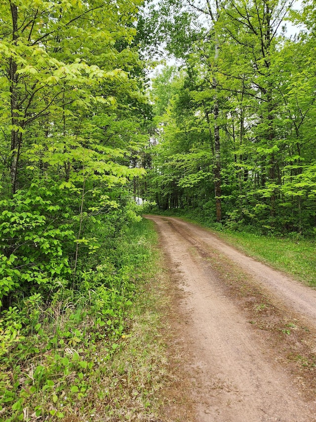 35270 Bear Creek Rd, Partridge Twp, MN 55704 - view of dirt / gravel road with a view of trees