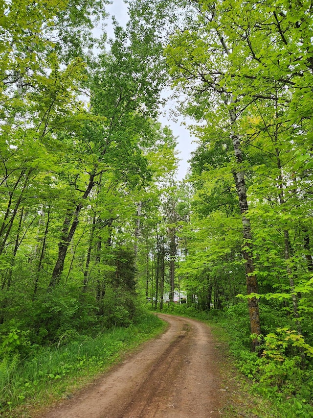 35270 Bear Creek Rd, Partridge Twp, MN 55704 - view of dirt / gravel road featuring a forest view