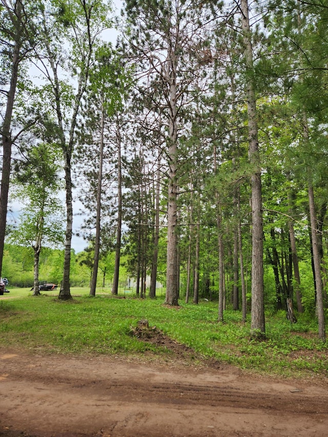 35270 Bear Creek Rd, Partridge Twp, MN 55704 - view of nature