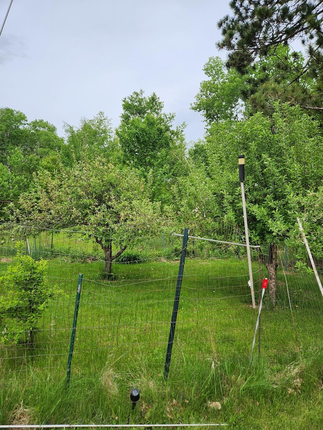 35270 Bear Creek Rd, Partridge Twp, MN 55704 - view of yard