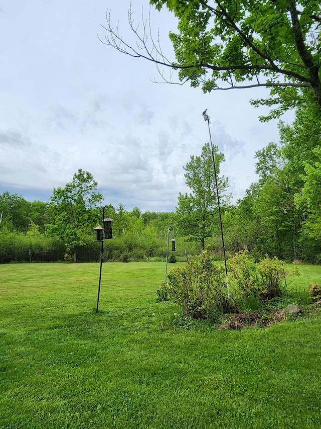 35270 Bear Creek Rd, Partridge Twp, MN 55704 - view of green lawn