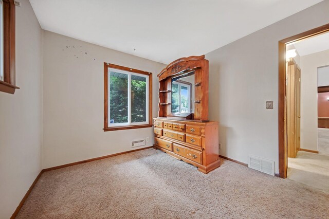 8452 85th St S, Cottage Grove, MN 55016 - photo 19