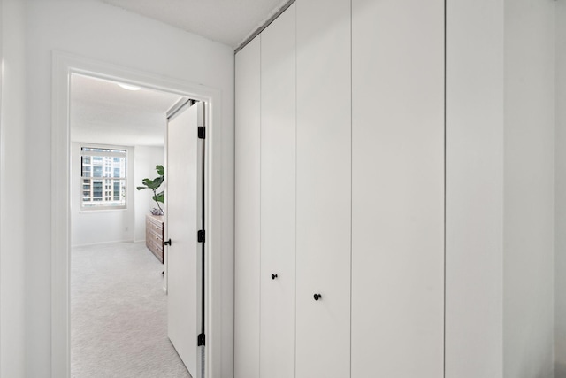 401 1st St Unit 922, Minneapolis, MN 55401 - hall featuring carpet floors
