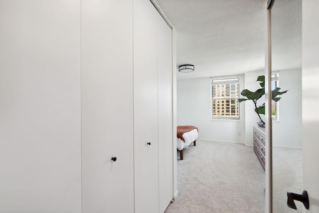401 1st St Unit 922, Minneapolis, MN 55401 - hall featuring light carpet, baseboards, and a textured ceiling