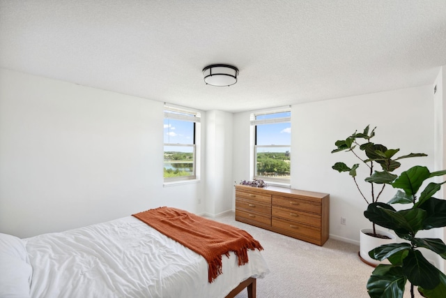 401 1st St Unit 922, Minneapolis, MN 55401 - bedroom featuring light carpet, baseboards, and a textured ceiling