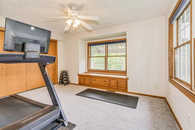 2816 29th Ave NE, Saint Anthony, MN 55418 - workout room with carpet floors, baseboards, and a ceiling fan