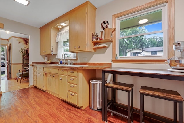 4600 3rd St NE, Fridley, MN 55421 - kitchen with light wood-type flooring, healthy amount of natural light, and light countertops