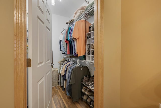 16154 Main Ave SE # 120, Prior Lake, MN 55372 - spacious closet with wood finished floors