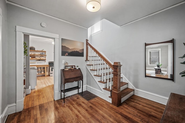 4312 Nokomis Ave, Minneapolis, MN 55406 - staircase with hardwood / wood-style flooring, ornamental molding, and baseboards