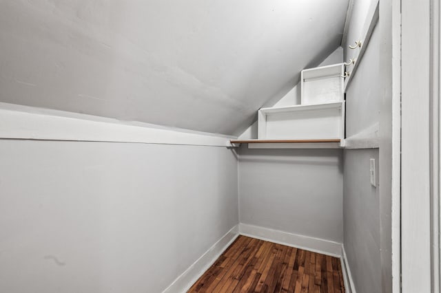 4312 Nokomis Ave, Minneapolis, MN 55406 - spacious closet with vaulted ceiling and wood-type flooring