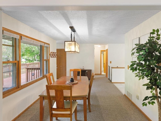 38609 Branch Ave, North Branch, MN 55056 - dining space with light carpet, a textured ceiling, and baseboards