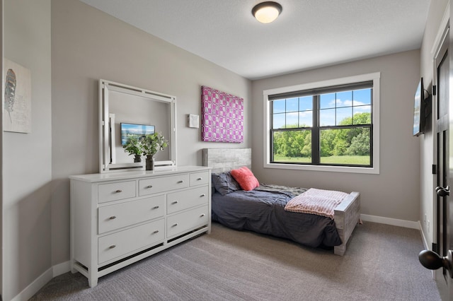 18885 Poppy St NW, Oak Grove, MN 55303 - bedroom with light carpet and baseboards