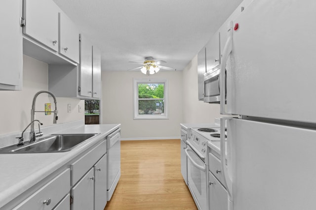 10113 34th St Unit 105, Minnetonka, MN 55305 - kitchen featuring white appliances, a sink, light wood-style floors, ceiling fan, and light countertops