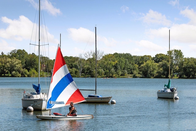 4932 Cedar Ave S, Minneapolis, MN 55417 - dock featuring a view of trees and a water view