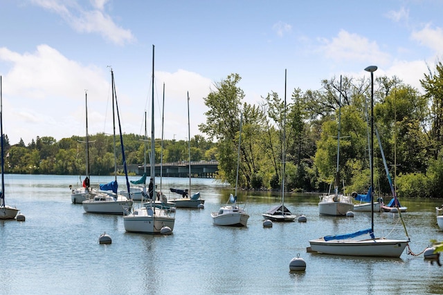 4932 Cedar Ave S, Minneapolis, MN 55417 - dock area with a water view and a forest view
