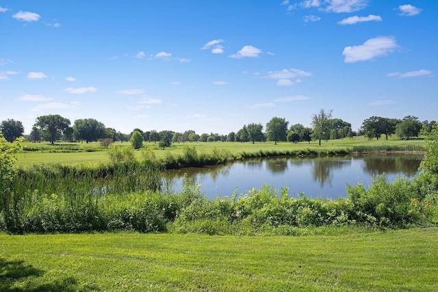 4932 Cedar Ave S, Minneapolis, MN 55417 - water view