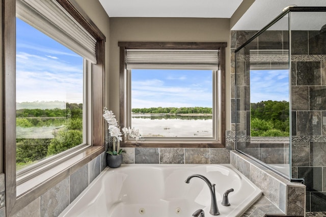 26042 Sunset Dr, Chisago City, MN 55013 - bathroom with a tub with jets, a stall shower, and a water view