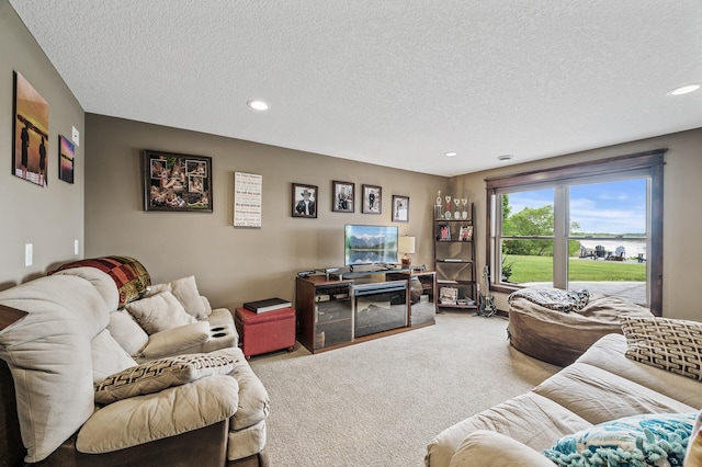 26042 Sunset Dr, Chisago City, MN 55013 - living room with carpet, a textured ceiling, and recessed lighting