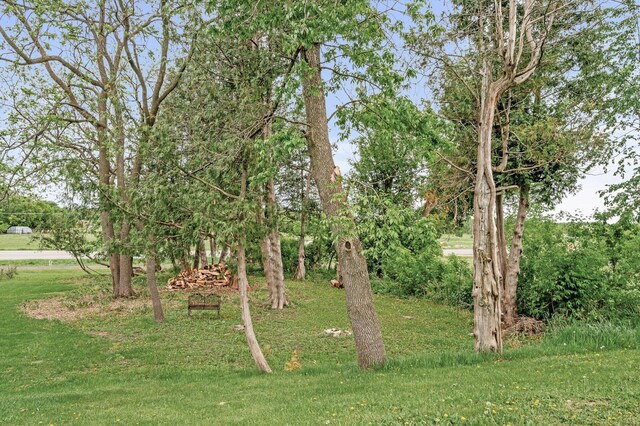26042 Sunset Dr, Chisago City, MN 55013 - view of green lawn