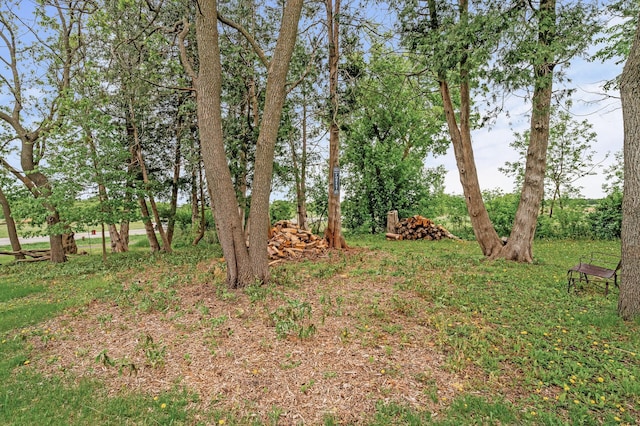 26042 Sunset Dr, Chisago City, MN 55013 - view of yard