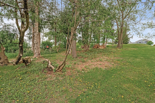 26042 Sunset Dr, Chisago City, MN 55013 - view of green lawn